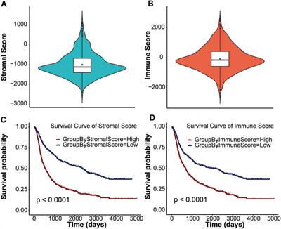 Prognostic risk of immune-associated signature in the microenvironment of brain gliomas